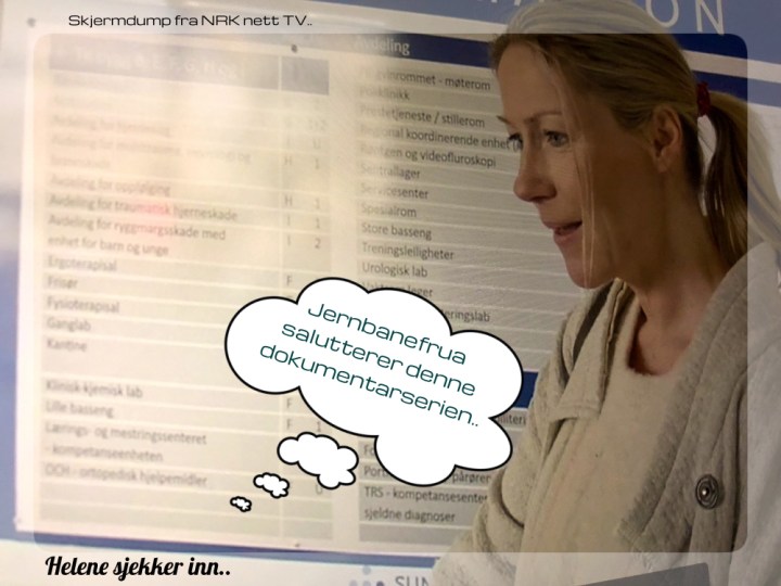 Helene sjekker inn. Skjermdump