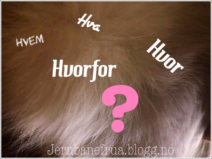 jernbanebrua spør hvem, hva, hvorfor.