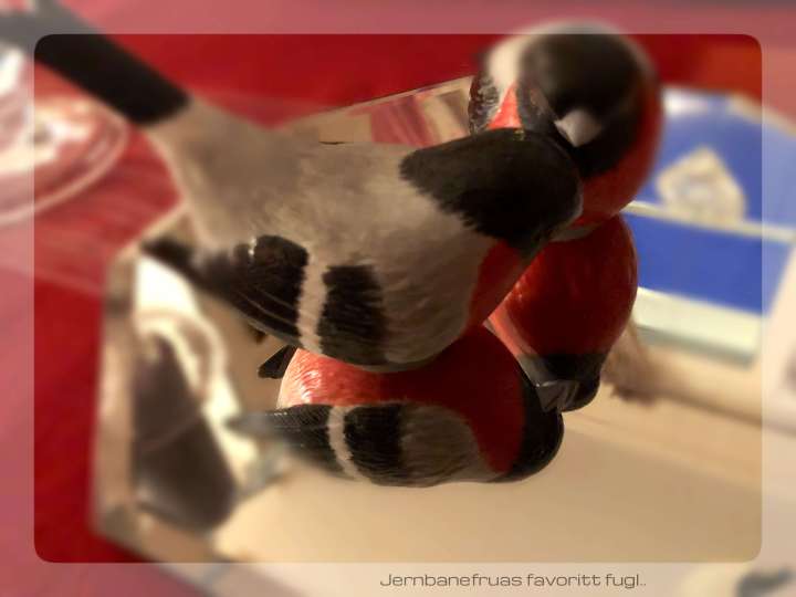 Jernbanefruas dompaper