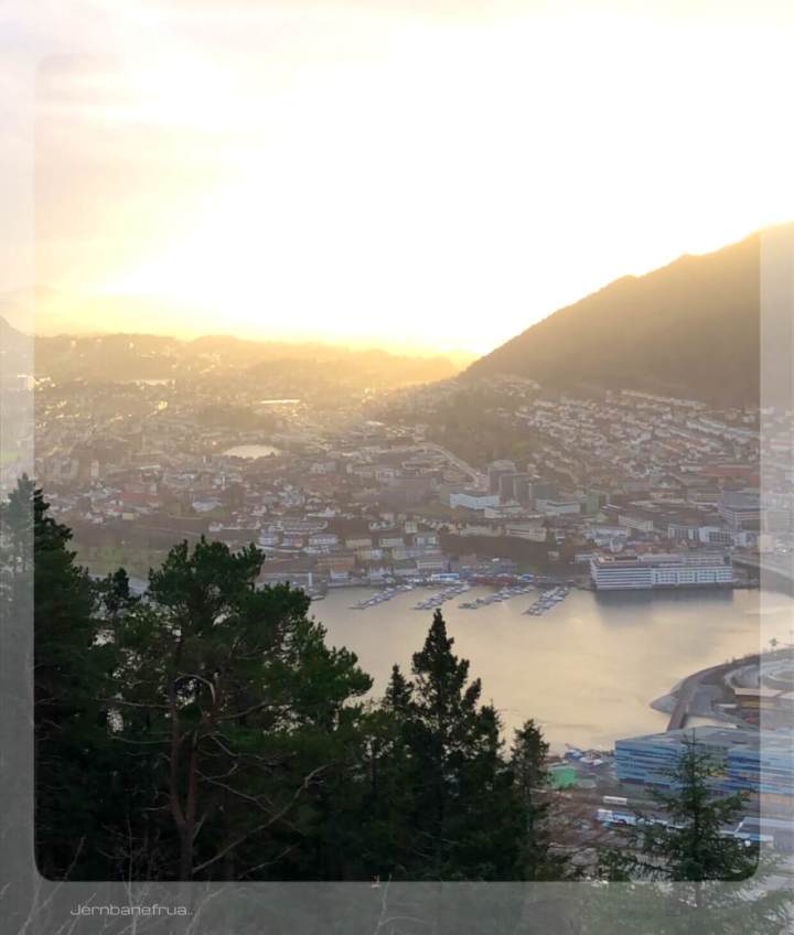 Jernbanefrua på Fløyen.