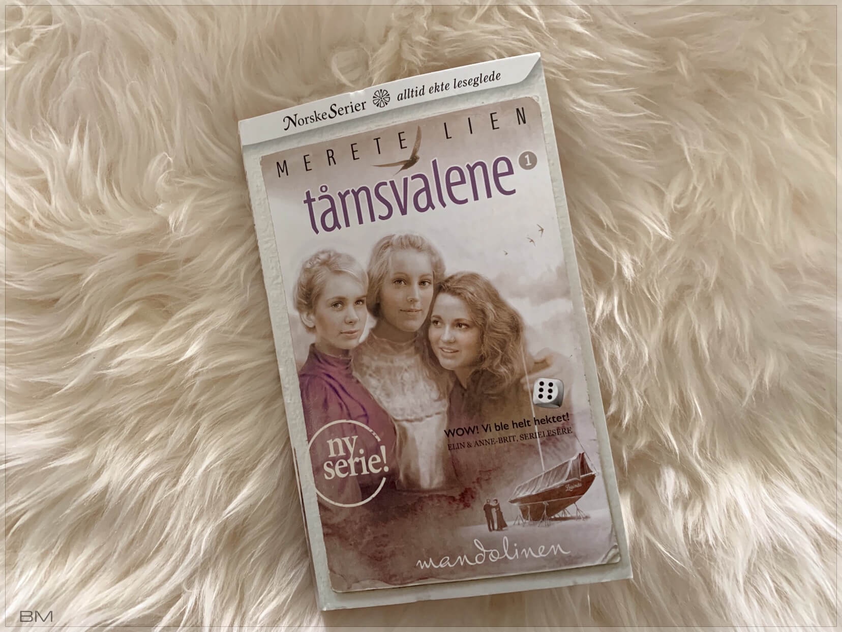 Serieromanen Tårnsvalene av Merete Lien