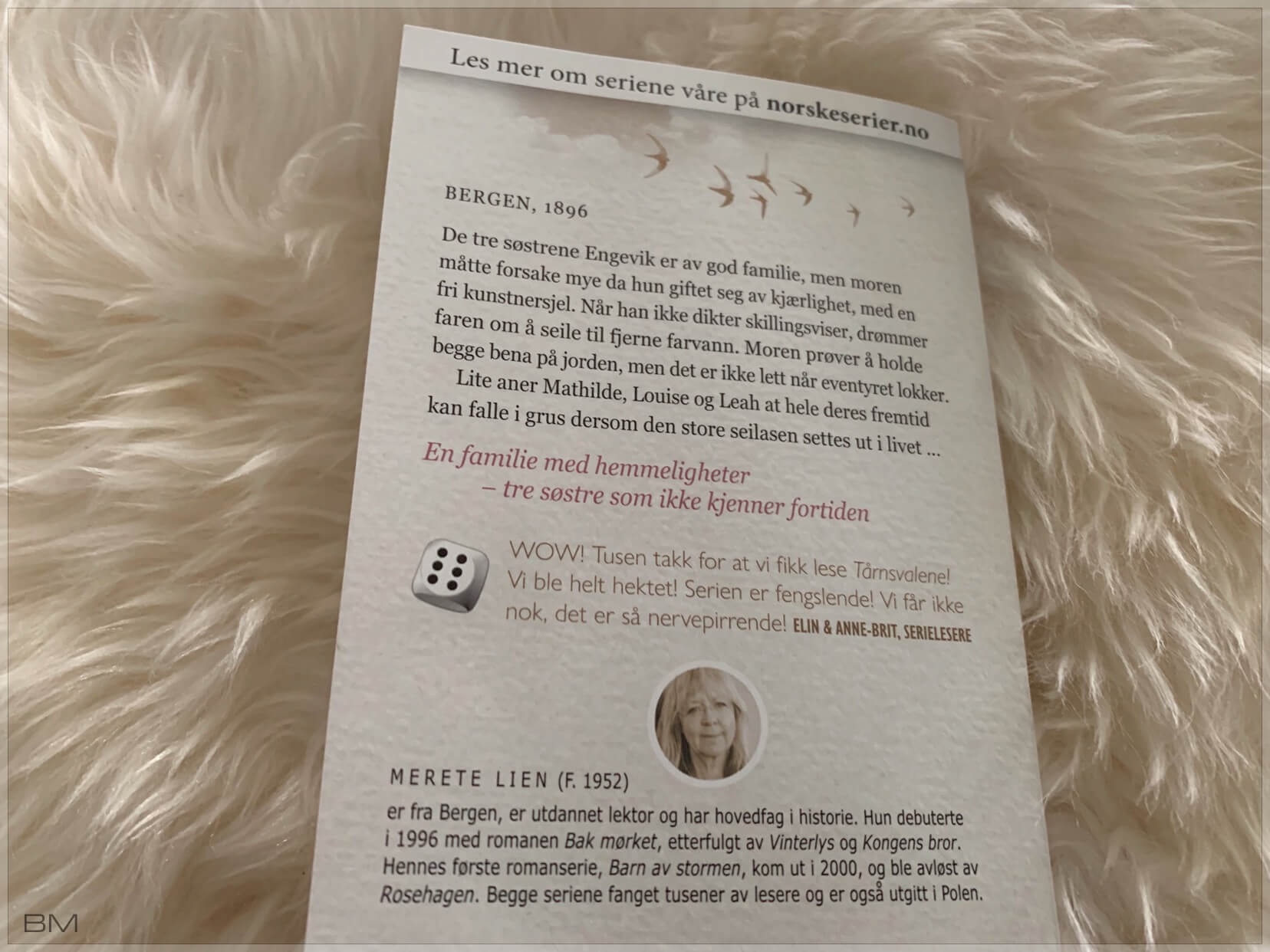 Serieromanen Tårnsvalene av Merete Lien