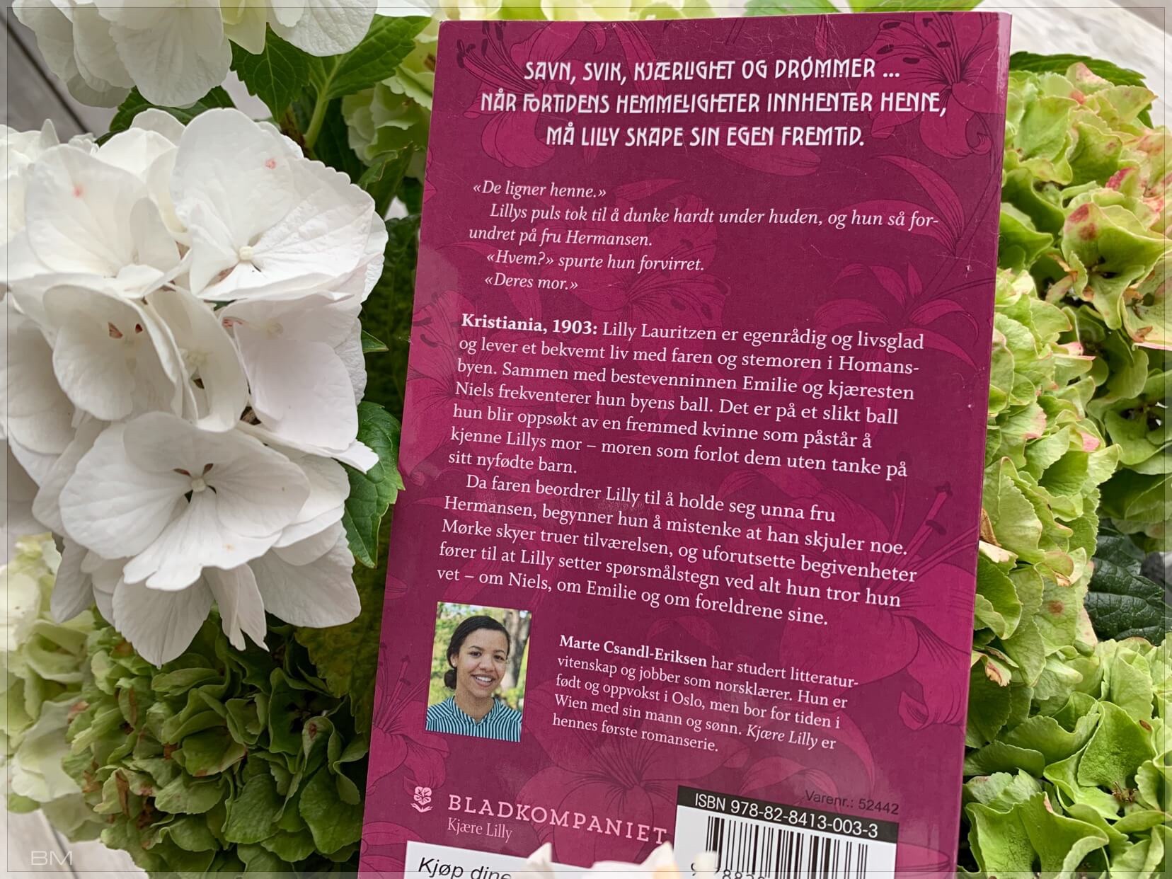 Serieromanen Kjære Lilly. Omtale av jernbanefrua.