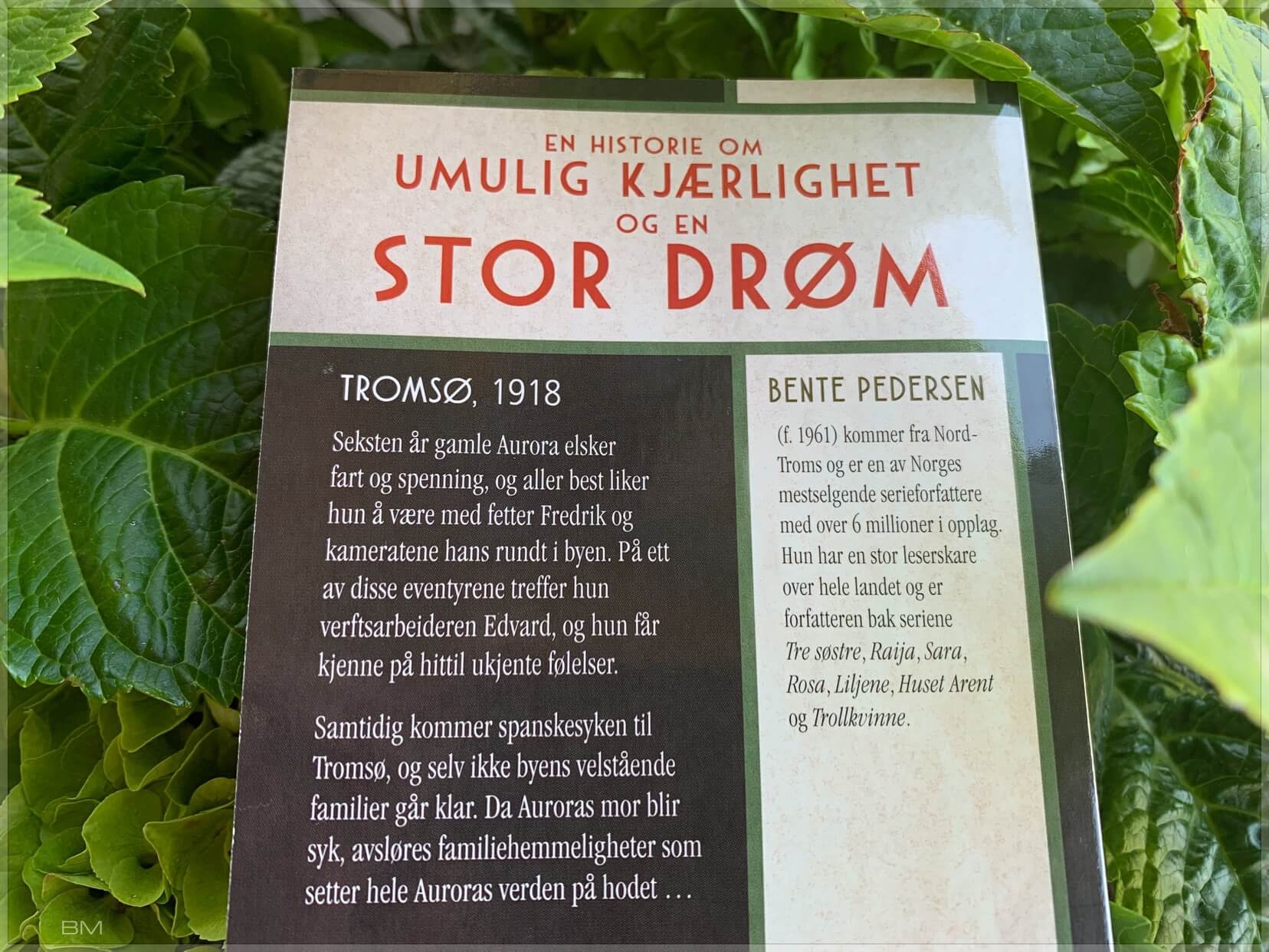 Serieromanen Aurora, av Bente Pedersen