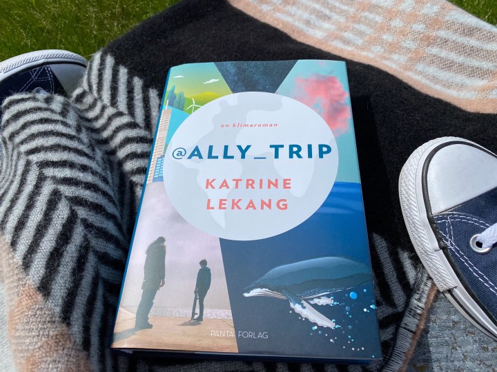 @ally_trip. En klimaroman.