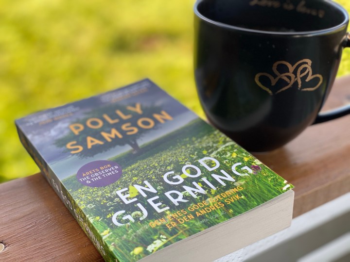 Bokanmeldelse. En god gjerning, av Polly&nbsp;Samson.