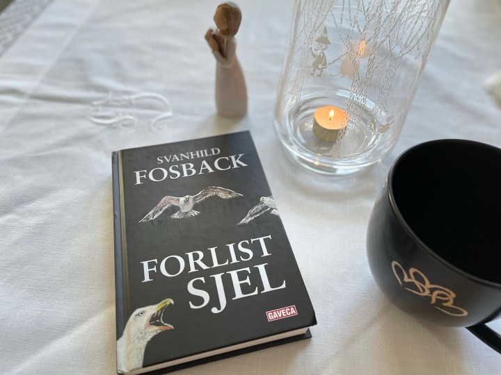 Bokanmeldelse. Forlist sjel, en sørlandskrim av Svanhild&nbsp;Fosback.