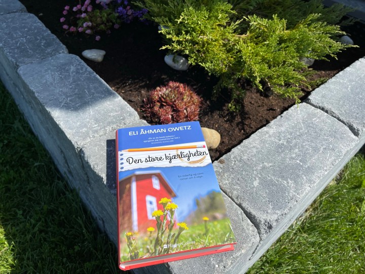 Bokanmeldelse. Den store kjærligheten, av Eli Åhman&nbsp;Owets.