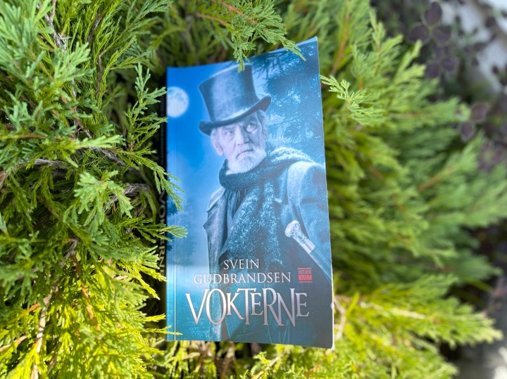 Bokanmeldelse. Vokterne, av Svein&nbsp;Gudbrandsen