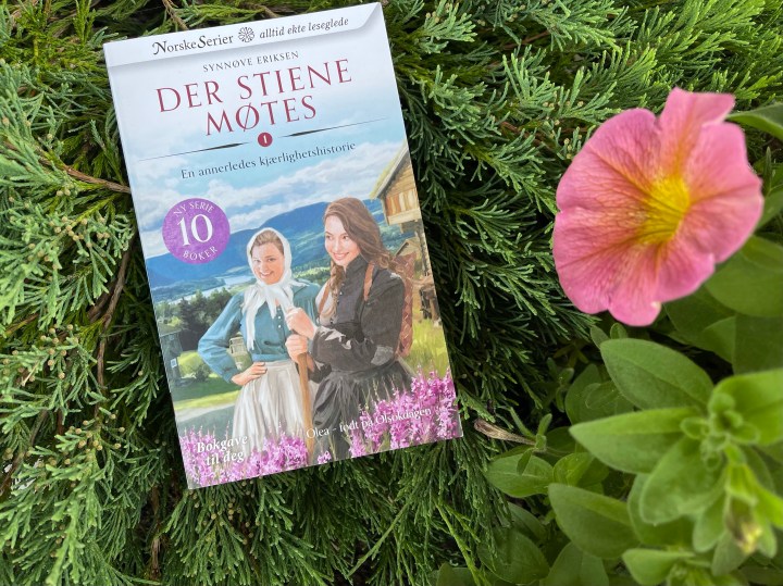 Bokanmeldelse. Der stiene møtes 1, av Synnøve&nbsp;Eriksen