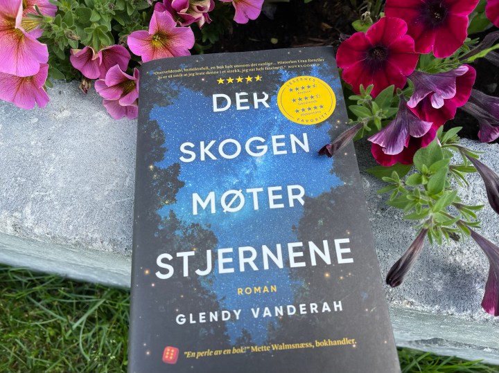 Bokanmeldelse. Der skogen møter stjernene, av Glendy&nbsp;Vanderah