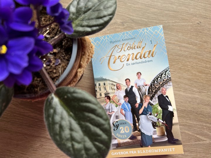 Hotell Arendal 1, av Øystein Antonsen.&nbsp;Bokanmeldelse