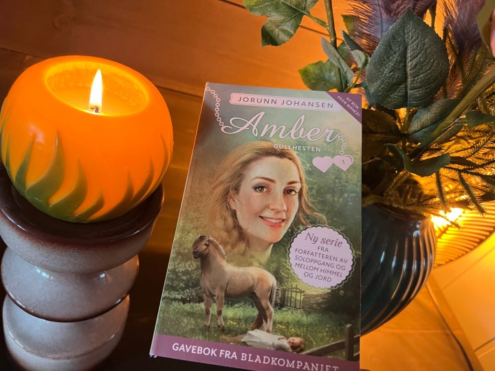 Amber 1, av Jorunn Johansen.&nbsp;Bokanmeldelse