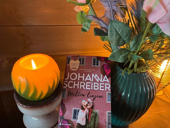 Mellom linjene, av Johanna Schreiber.&nbsp;Bokanmeldelse