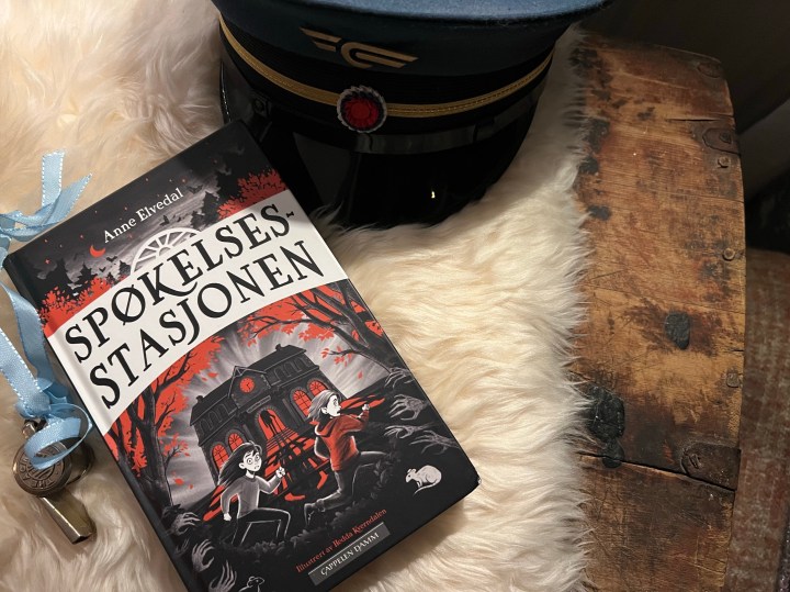 Spøkelsesstasjonen, av Anne Elvedal.&nbsp;Bokanmeldelse